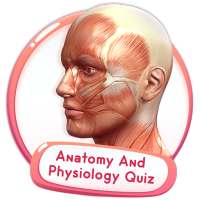 Anatomie Et Physiologie Test