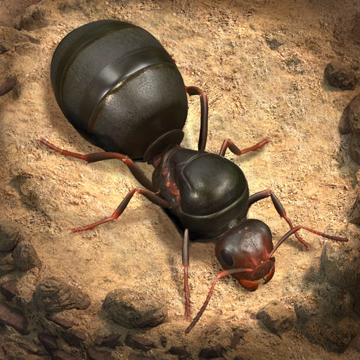 ikon The Ants: Underground Kingdom