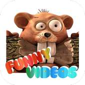 Funny Animal Videos on 9Apps
