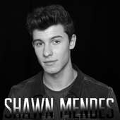Shawn Mendes-Free MP3 ( Song Offline)