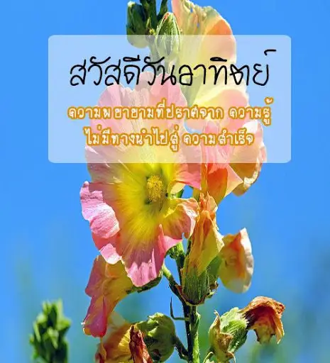 อรุณสวัสดิ์ยามเช้า App لـ Android Download - 9Apps