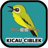 Kicau Ciblek Pemikat Mp3 Offline on 9Apps