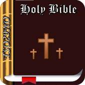 Holy Bible Tsonga(TSO29NO)