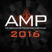 AMP 2016