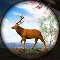 Deer Hunt Safari 2020: Shooting Season
