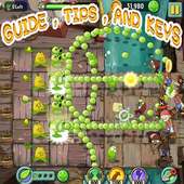 GUIDE Plant Vs Zombies 2