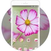 Theme for sunny bright purple flower wallpaper