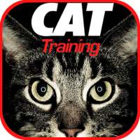Cat Training on 9Apps