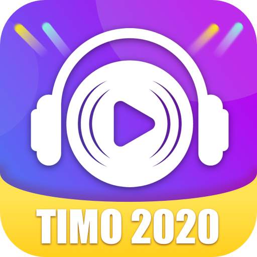 Timo Music - Make your music light show