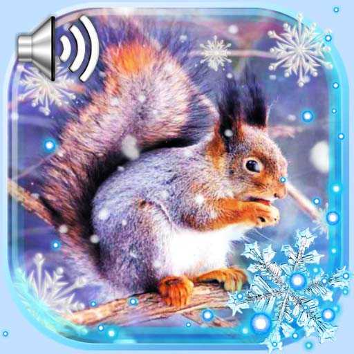 Winter Squirrel Forest