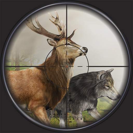 Jungle Hunting Sniper 2020