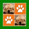 Cute Dogs Memory Match Game - Card Pairs