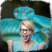 Snake Photo Frame Editor