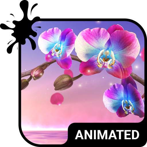 Orchid Animated Keyboard   Live Wallpaper