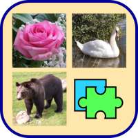 Flower, animal, bird & other jigsaw puzzles Sokart