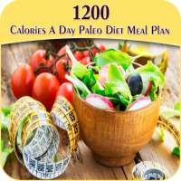 1200 Calories A Day Paleo Diet Meal Plan on 9Apps