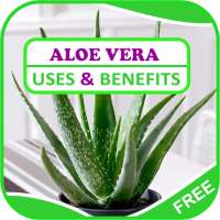 Uses & Benefits of Aloe Vera on 9Apps