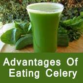 Advantages of Eating Celery - अजवाइन के फायदे on 9Apps