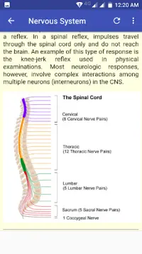 11 Body Systems in 3 minutes 