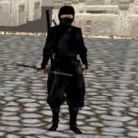 ninja krijger