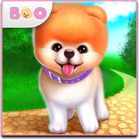 Boo: der süßeste Hund der Welt