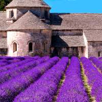 Provence's Best: France Travel Guide on 9Apps