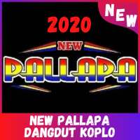 Dangdut New Pallapa 2020 Offline