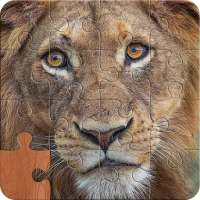 Animals Jigsaw Puzzles - Wild Animals
