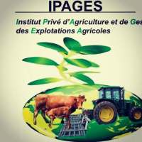 IPAGES NIGER