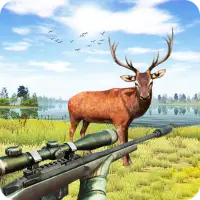 theHunter - 3D hunting game fo - Apps on Google Play