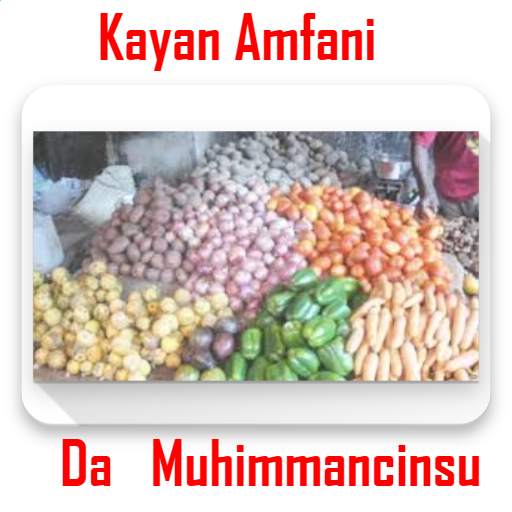 Kayan Amfani Da Muhimmancinsu