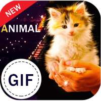 Animal Gif Stickers