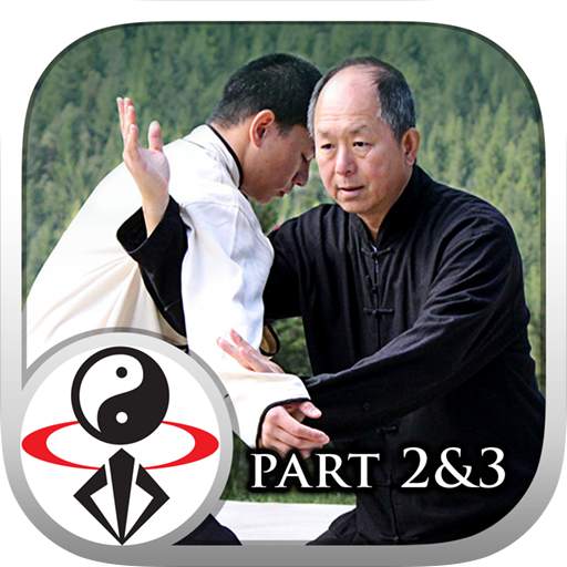 Yang Tai Chi for Beginners 2&3