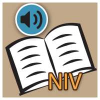 NIV BIBLE FREE DOWNLOAD on 9Apps