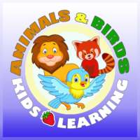 Animals and Birds - Kids Learning
