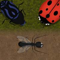 Ameisen Evolution : Insect Life Simulator