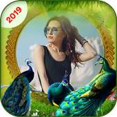 Peacock Insta DP Maker on 9Apps