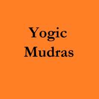 Yogic Mudras on 9Apps