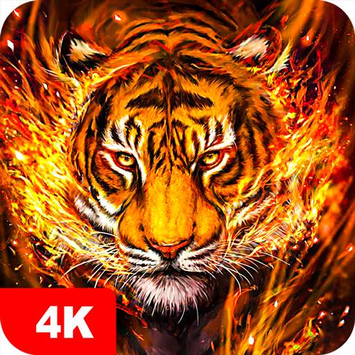 Tiger Wallpapers 4K