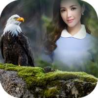 Eagles Photo Frame on 9Apps