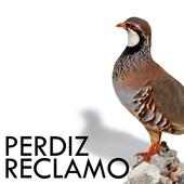 Perdiz Reclamo on 9Apps