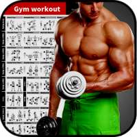 Gym workout on 9Apps