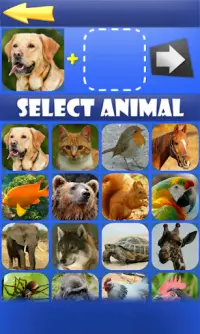 Morph Hybrid Animals APK Download 2023 - Free - 9Apps Morph Hybrid Animals APK Download 2023 - Free - 9Apps