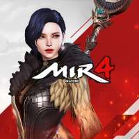 Clue For Mir4 Game Mobile