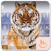 Wild Tiger on 9Apps