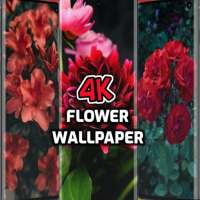 Flower Wallpaper Live - 4K Flower Wallpapers Free