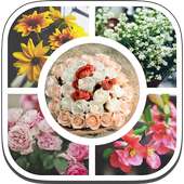 Pic Collage Maker & Pic Stitch on 9Apps