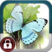 Butterfly Lock Screen