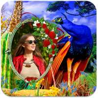 Peacock Photo Frames HD on 9Apps