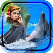 Dolphin Photo Frame on 9Apps